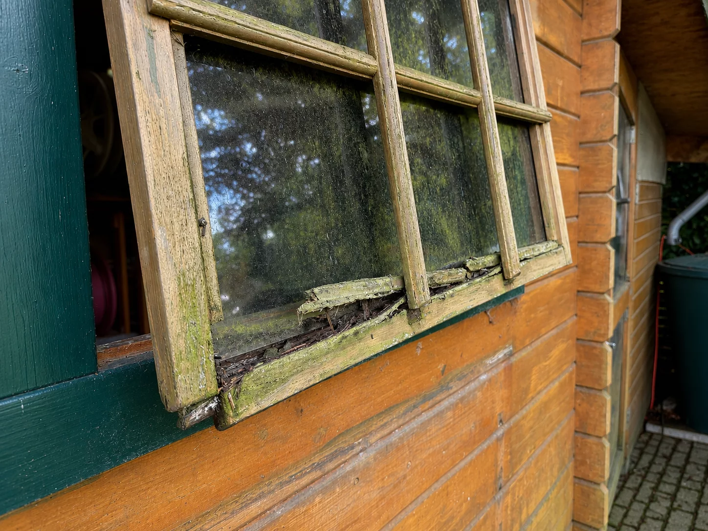 Reparatur einer verwitterten Gartenhaustür und Fenster – vorher